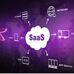 Wholesale SaaS Software as a service